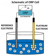 使用 ORP 计测量水中的臭氧